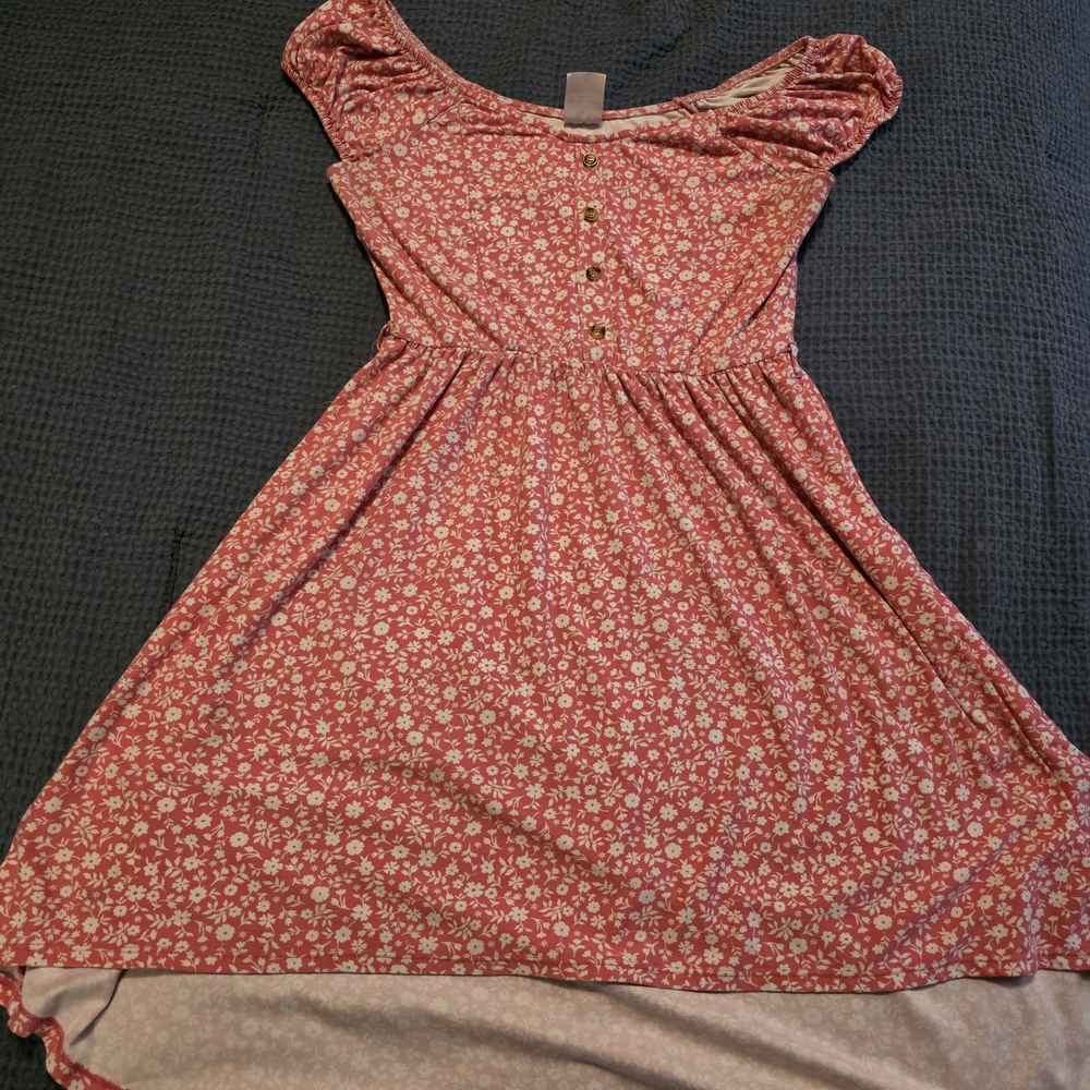 No Boundaries Pink Floral Button-Front Dress